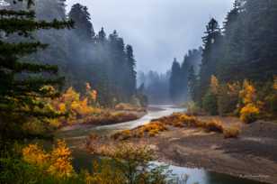 Eel River in the mist-1750.jpg